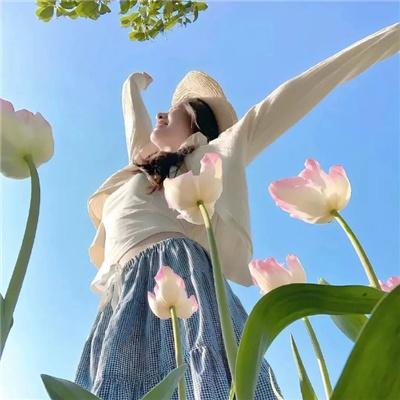 音乐缘计划2